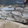 свежемороженая рыба в Березовском